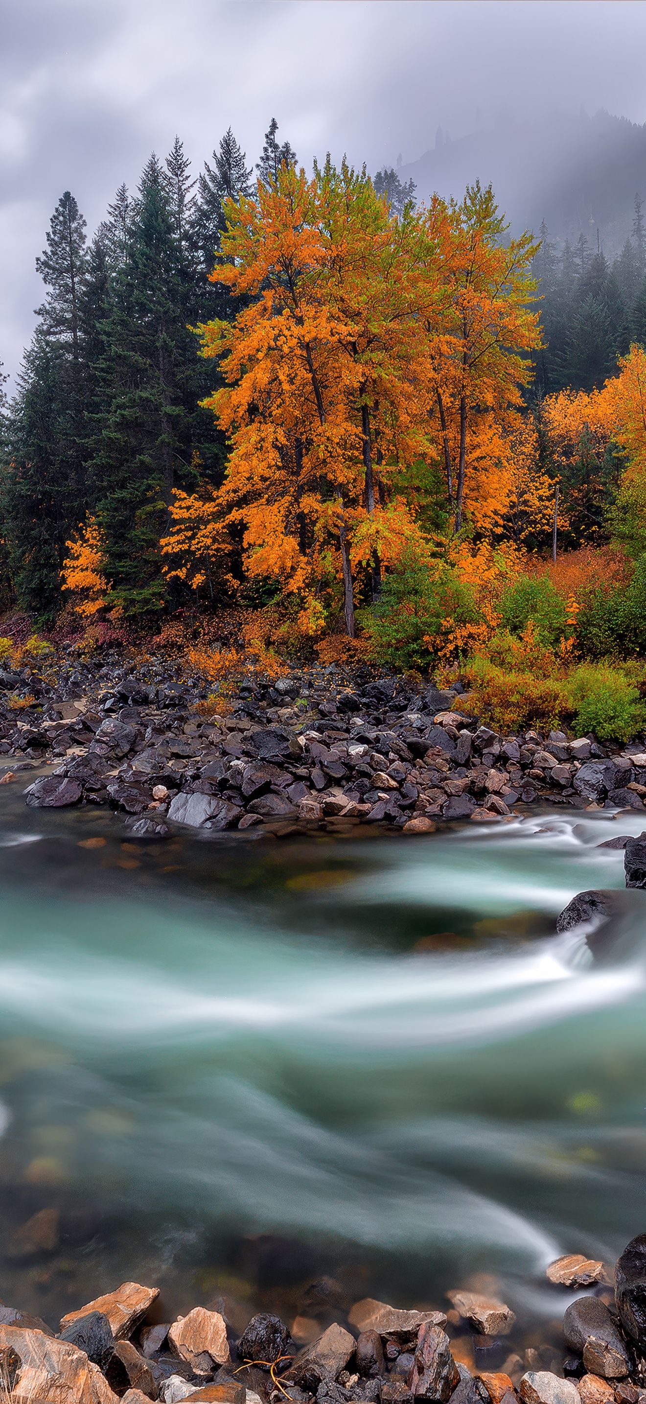 iPhone 16 Pro Autumn Wallpapers - Wallpaper Cave