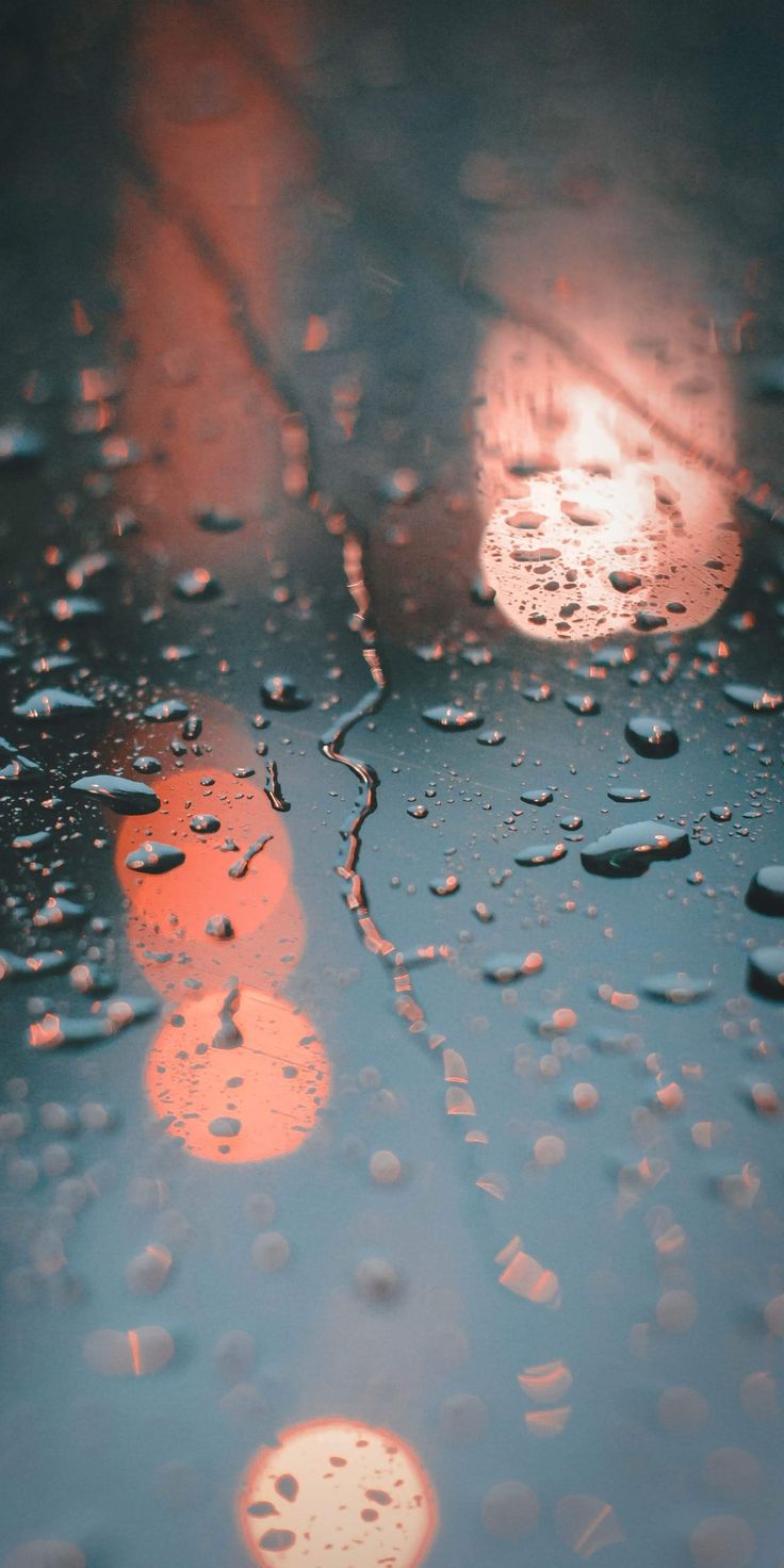 Rain Drops on Windshield. Deep Autumn Wallpaper