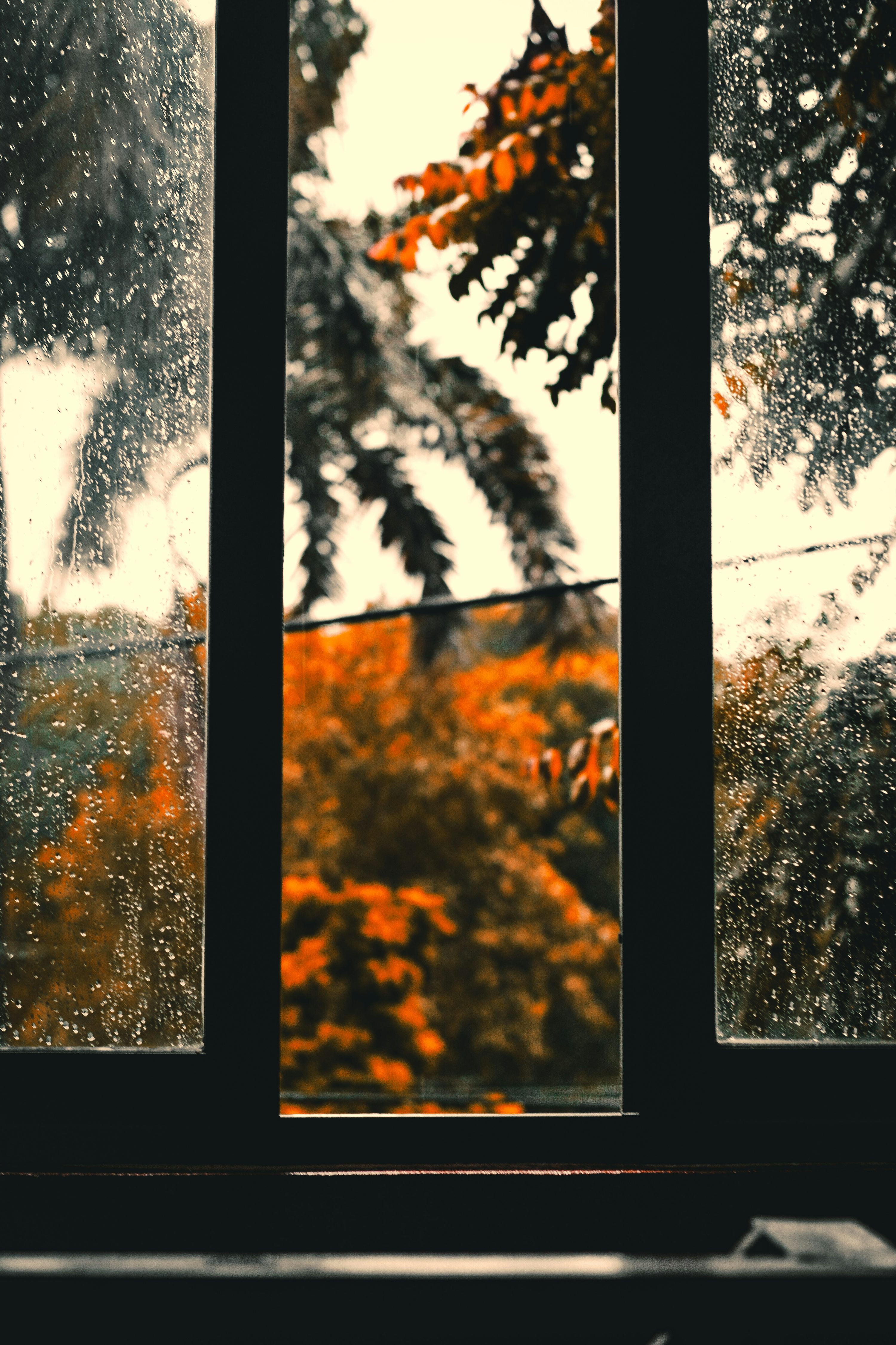 Autumn Rain Picture. Download Free Image