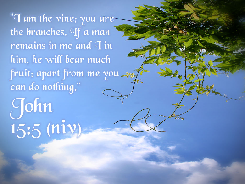 JOHN 15:5. A CHRISTIAN PILGRIMAGE