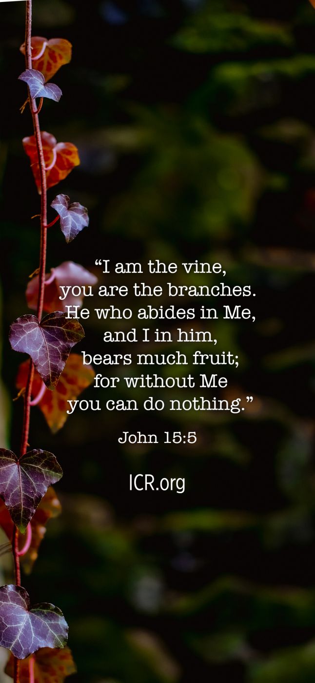 Wallpaper. The Institute for Creation Research