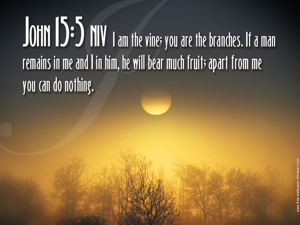 Desktop Bible Verse Wallpaper John 15 5