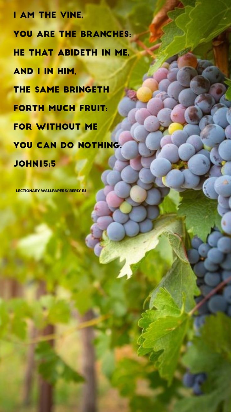 Lectionary Wallpaper