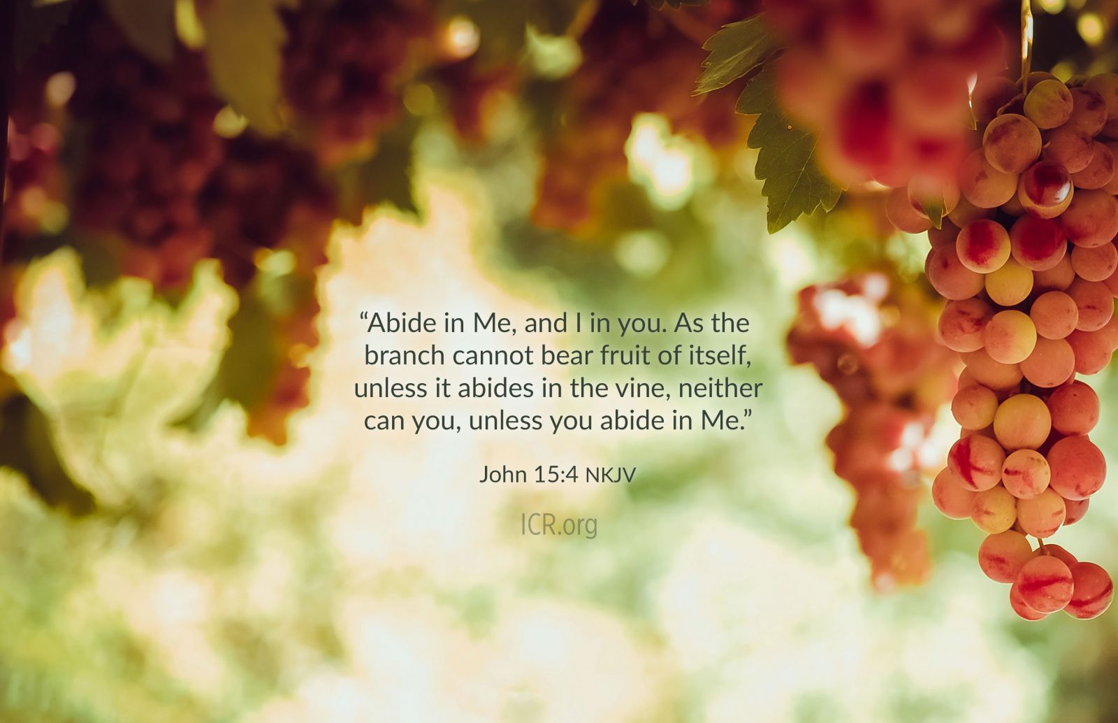 October 2023 ICR Wallpaper. The Institute for Creation Research