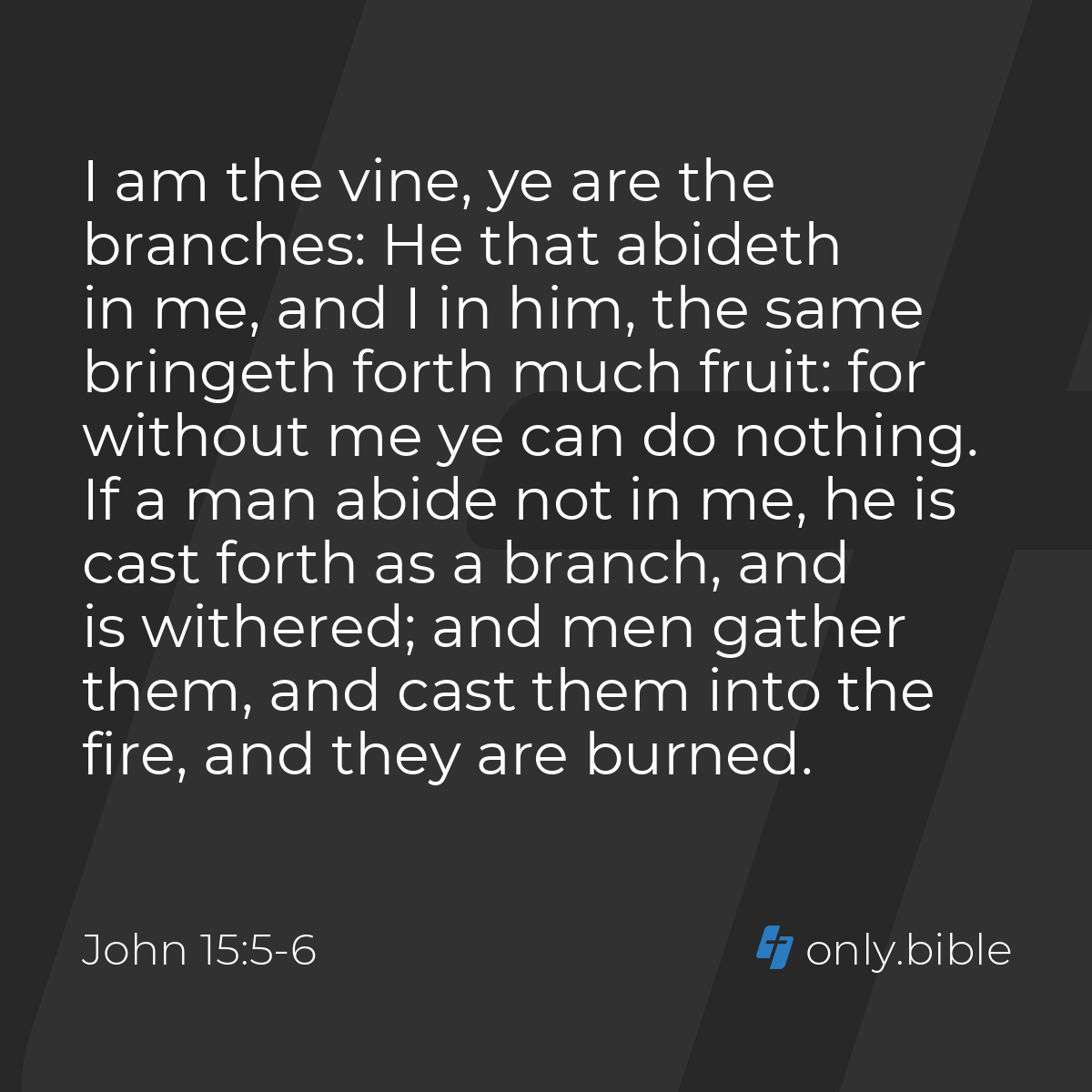 John 15:5 6 / King James Version (with Apocrypha)