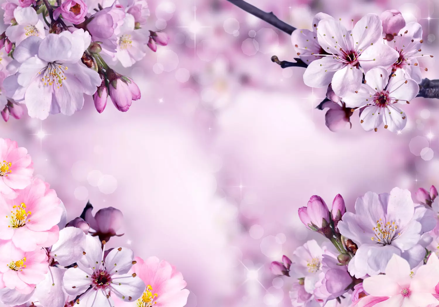 Photo Wallpaper Spring composition of cherry blossoms on a background with flash effect