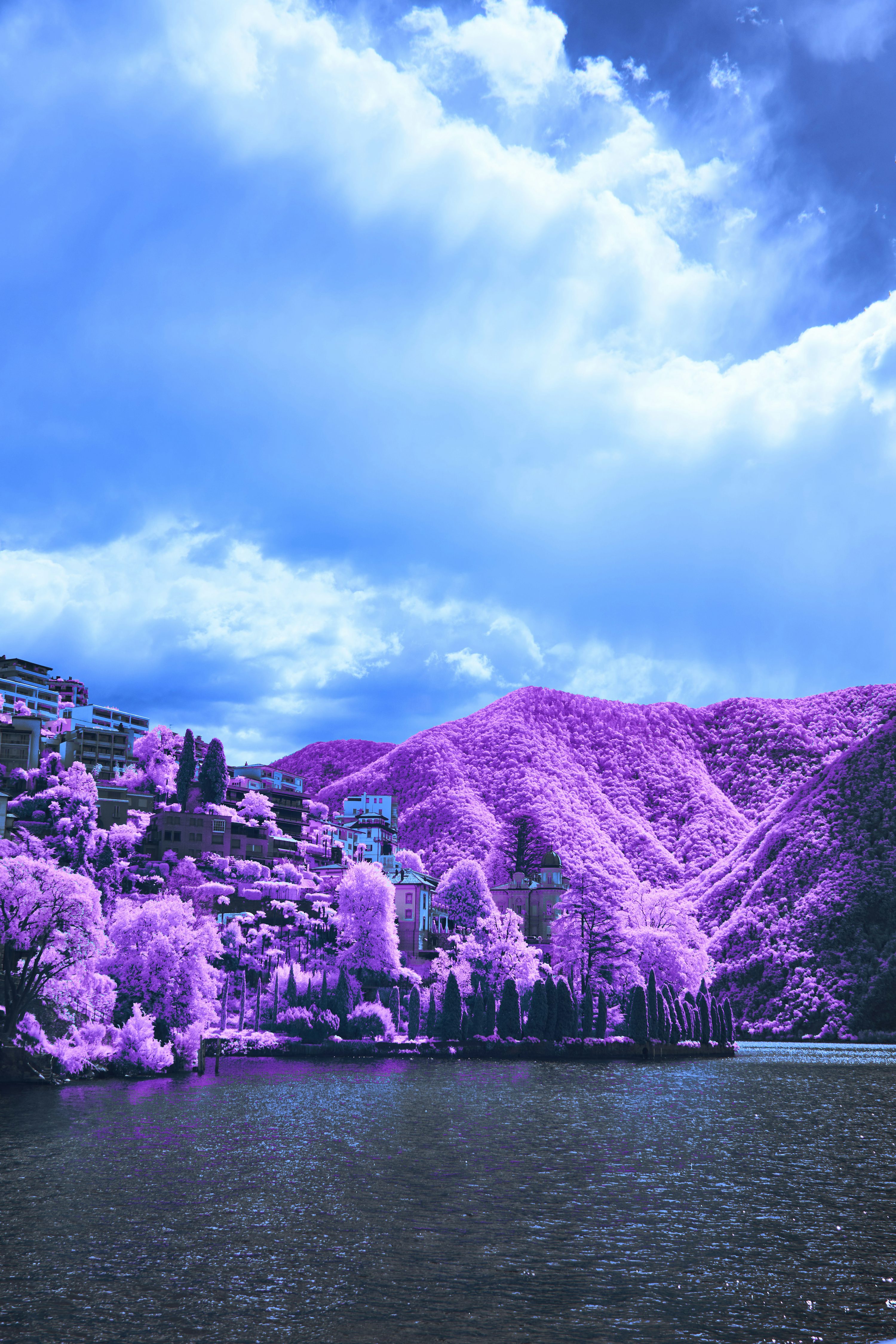 A lake filled with purple trees under a cloudy sky photo