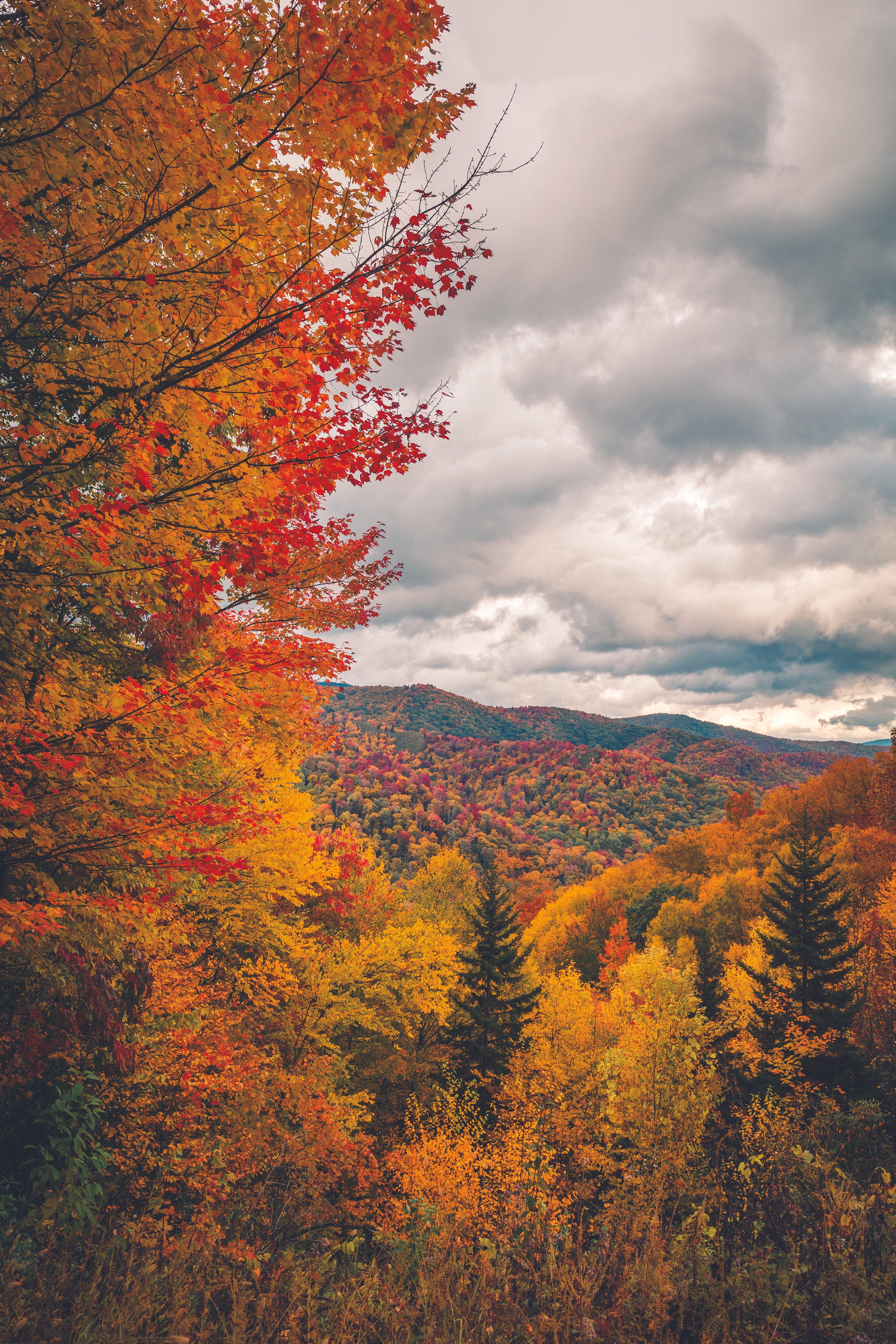 Fall in Great Smoky Mountains National Park