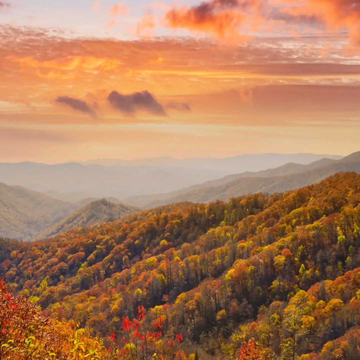 Best Places To Visit in Fall in Tennessee