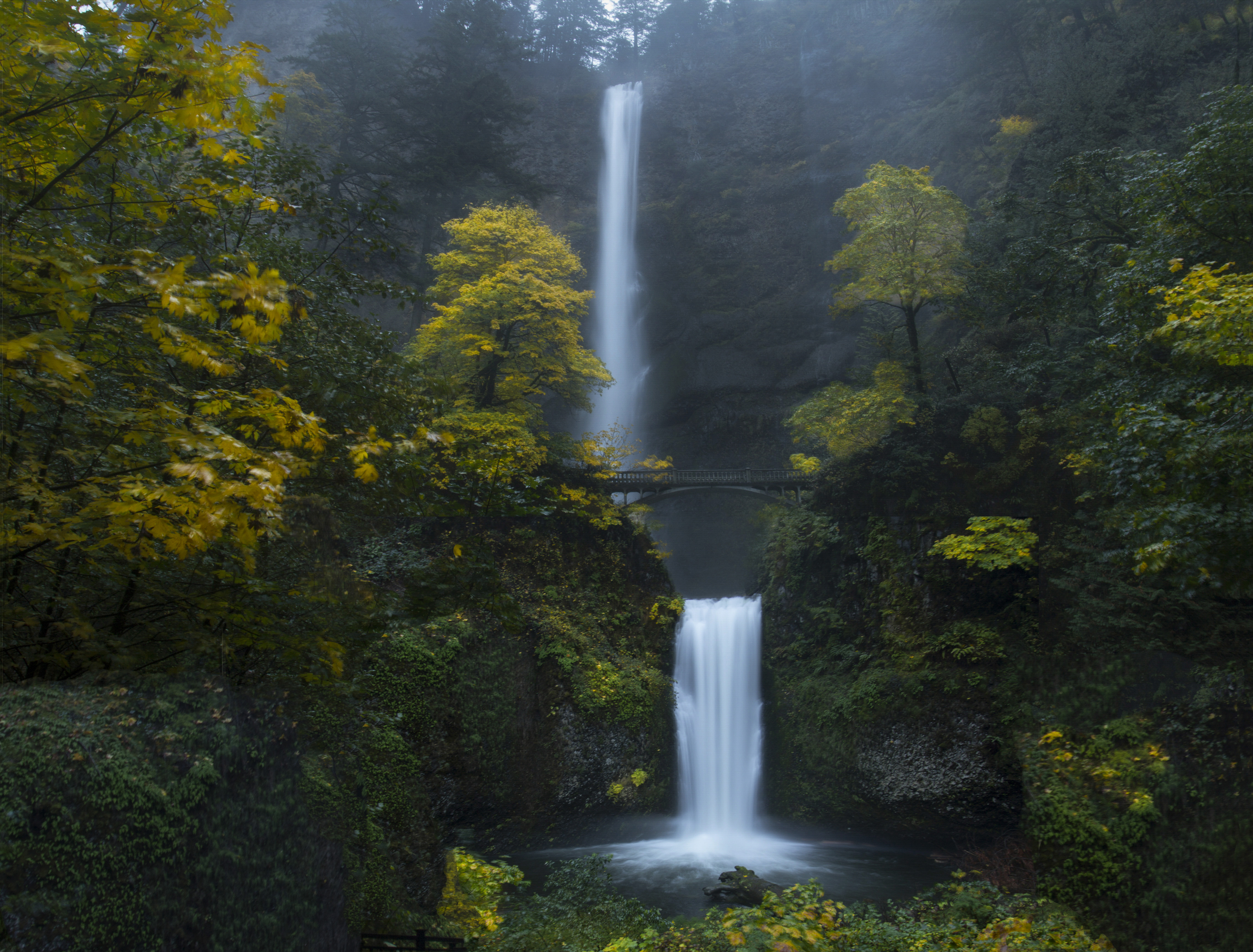 Multnomah Falls Wallpaper 4K, Oregon, Forest, Waterfalls