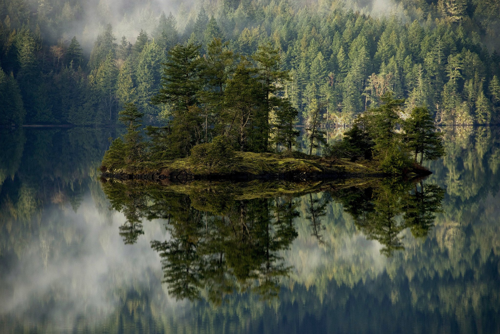 forest, Lake, Island, Mist, Reflection, Volcano, Crater, Oregon, Mountains Wallpaper HD / Desktop and Mobile Background