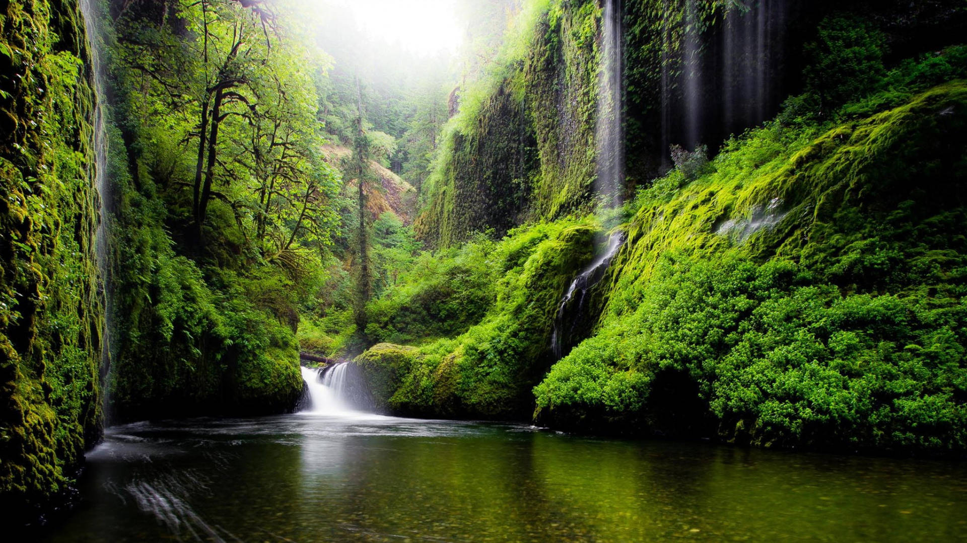 Download Oregon River Waterfalls Wallpaper