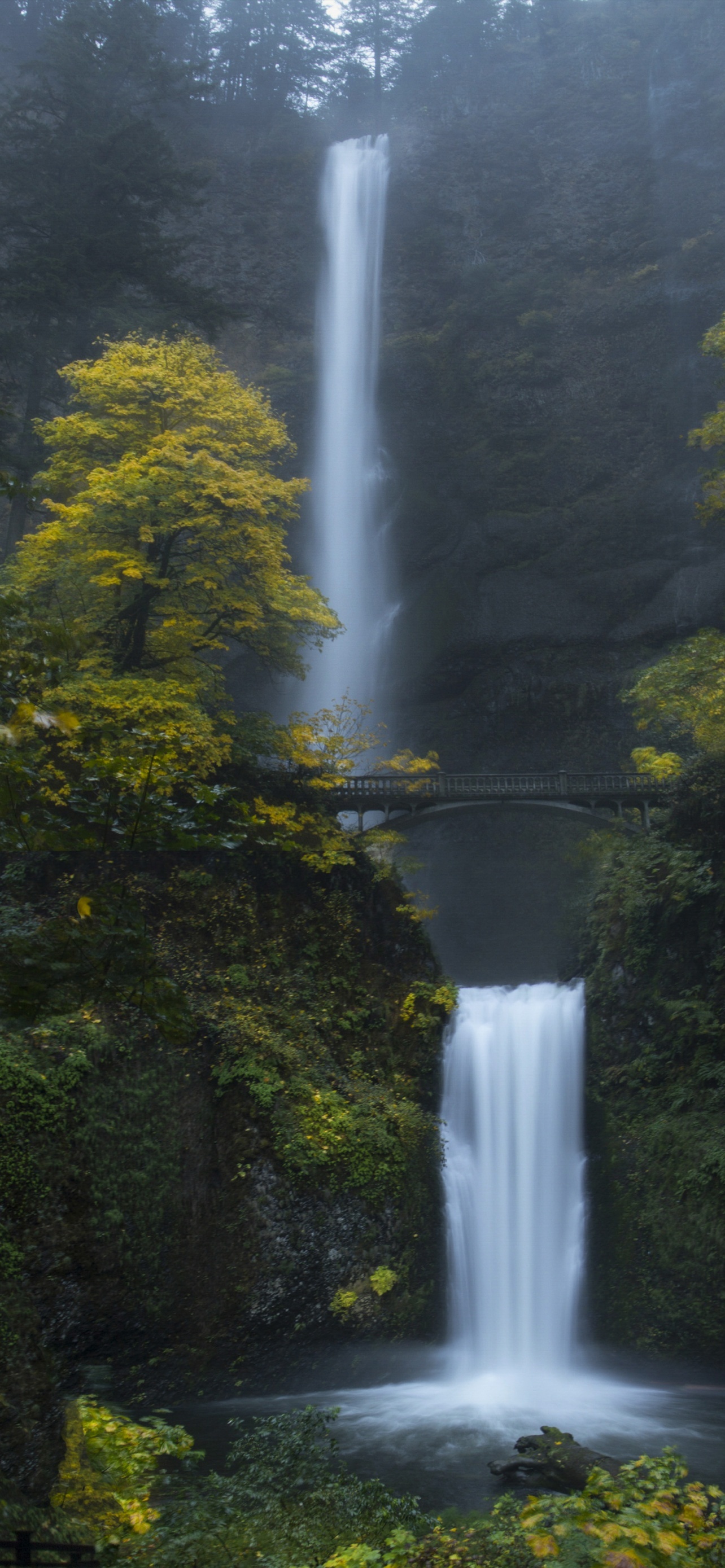 Multnomah Falls Oregon Forest Waterfalls Green Moss Rocks
