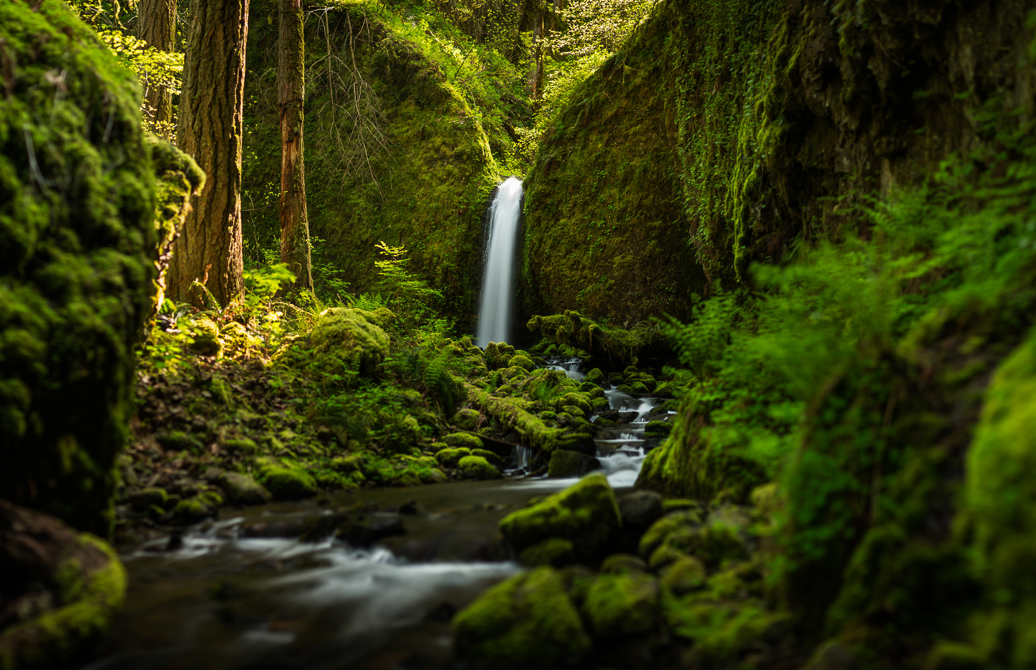 oregon, Waterfall, Forest, River, Mood Wallpaper HD / Desktop and Mobile Background