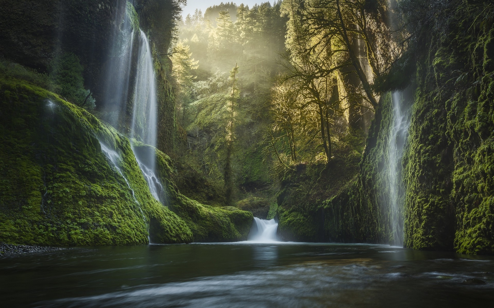 nature, Landscape, Oregon, Waterfall, Moss, Forest, Mist, Sunrise, USA, Pine Trees, Water, Valley, River Wallpaper HD / Desktop and Mobile Background