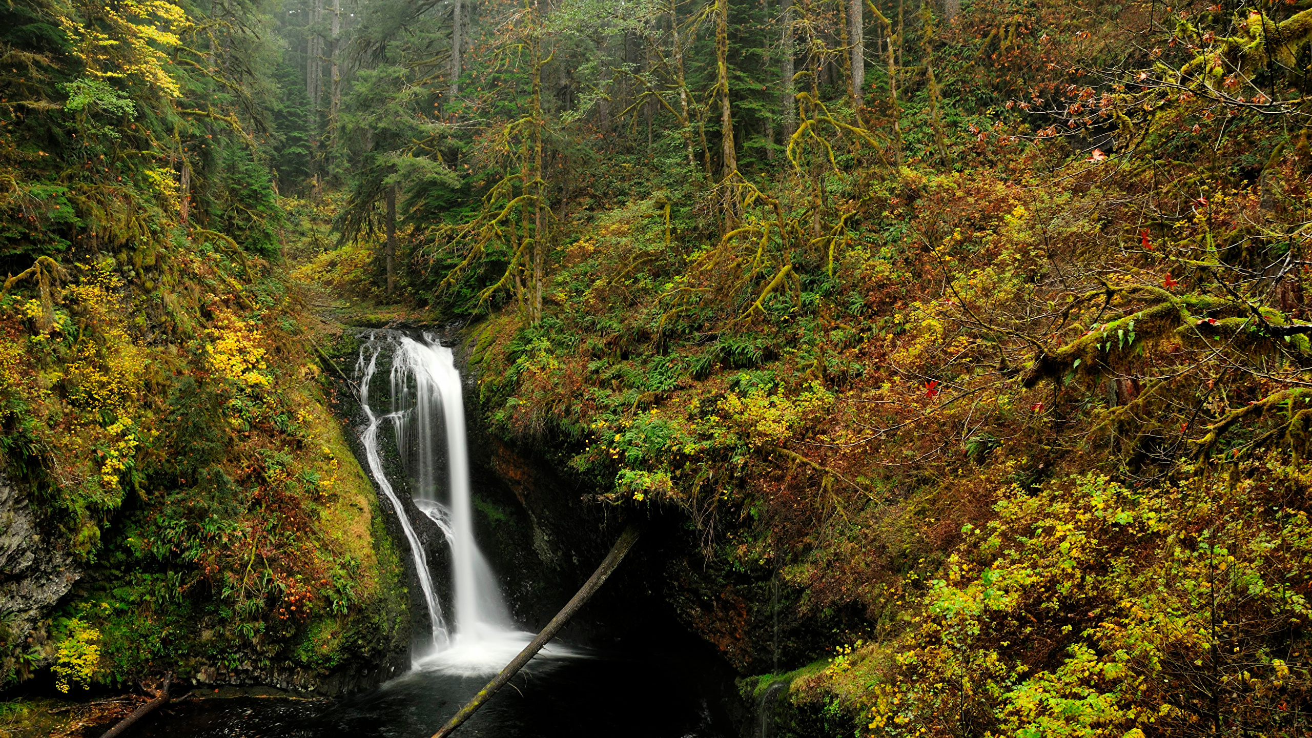 Desktop Wallpaper USA Oregon Nature Autumn Waterfalls 2560x1440