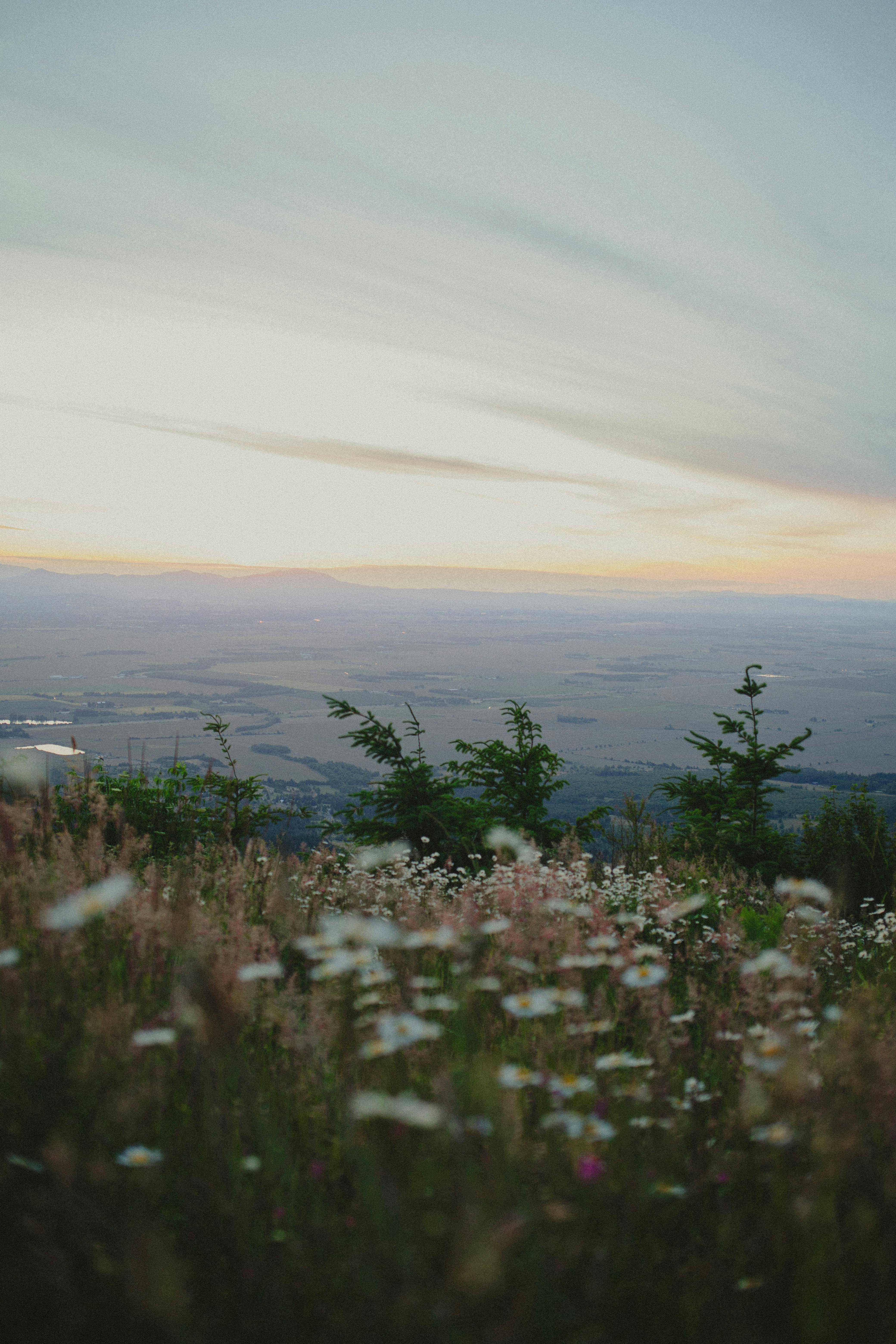Oregon Forest Photo, Download The BEST Free Oregon Forest & HD Image