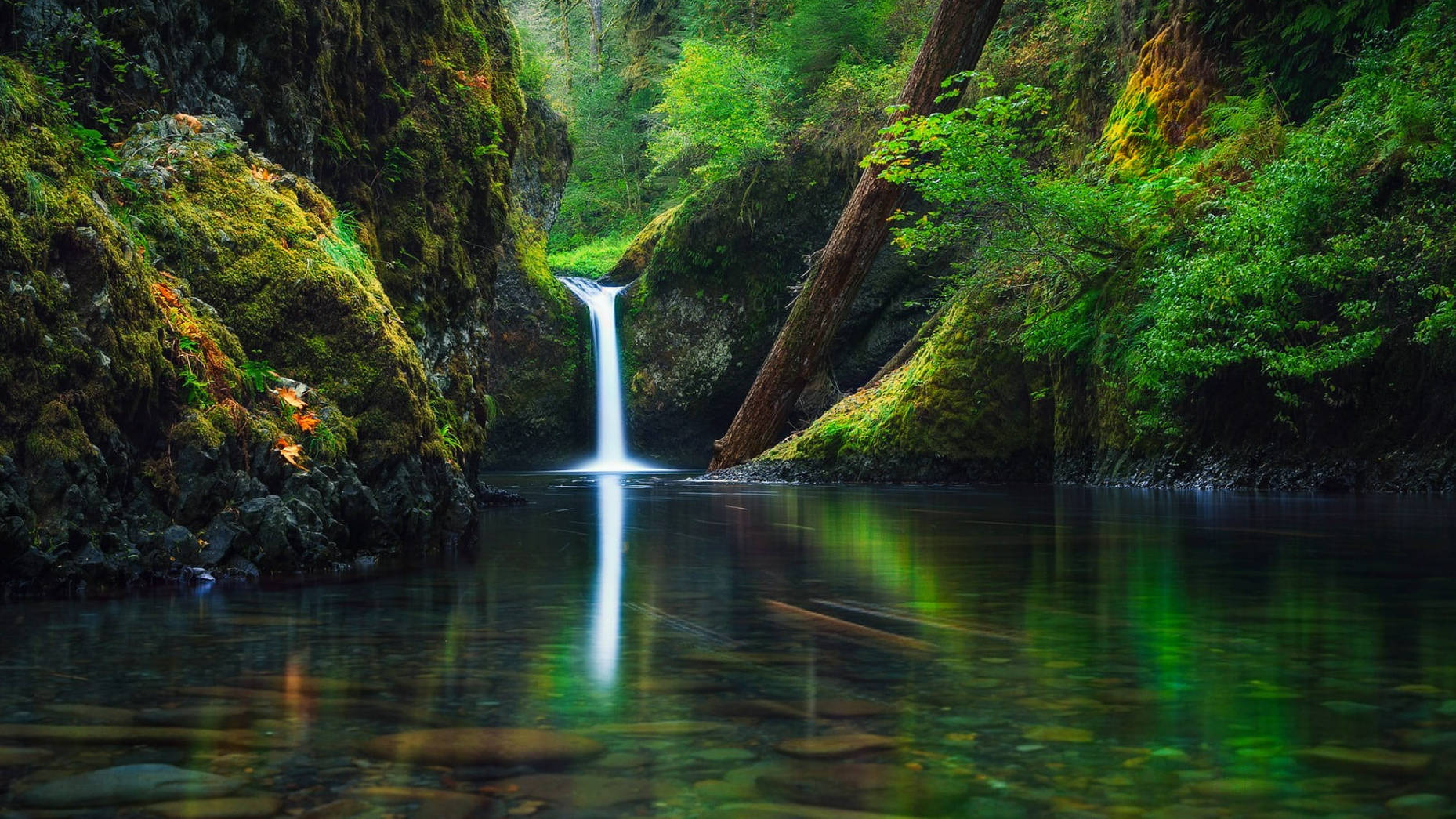Download Oregon Columbia River Gorge Wallpaper