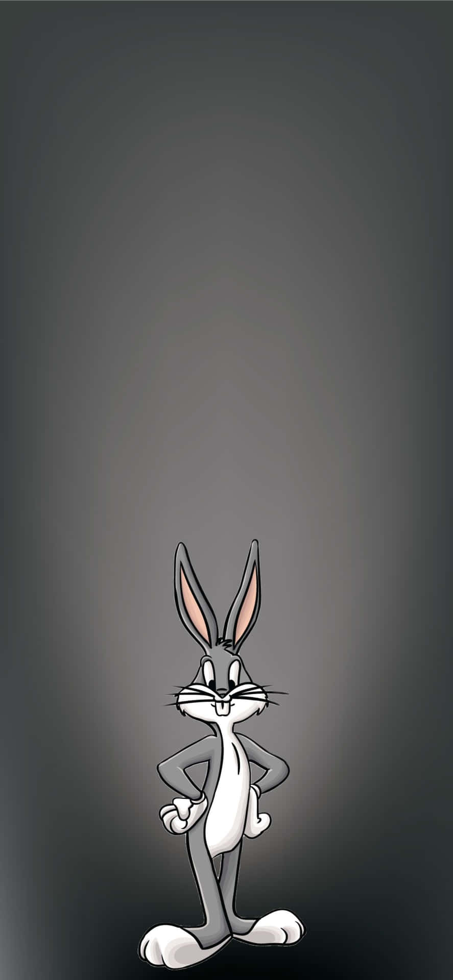 Download A Cartoon Rabbit Standing On A Dark Background Wallpaper
