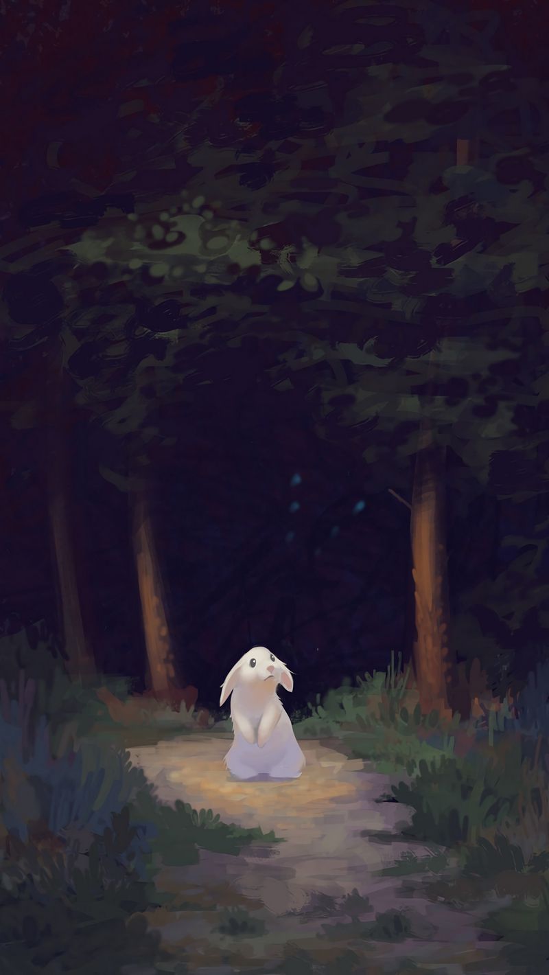 Download Wallpaper 800x1420 Rabbit, Forest, Dark, Cute Iphone Se 5s 5c 5 For Parallax HD Background