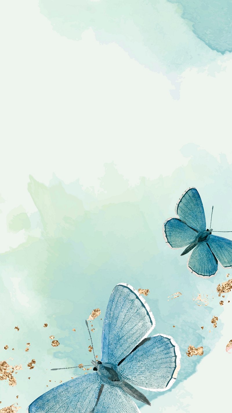 Blue Butterfly Wallpaper Image Wallpaper