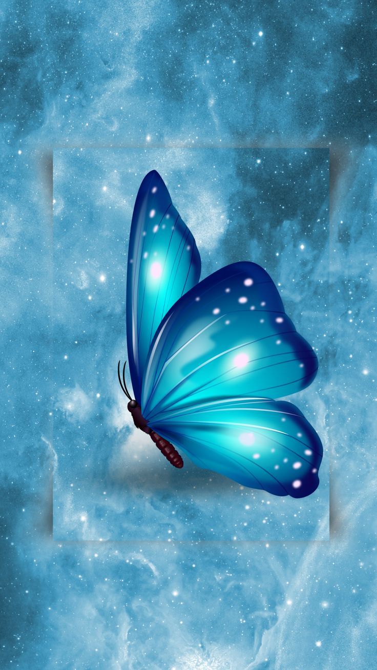 Blue Butterfly