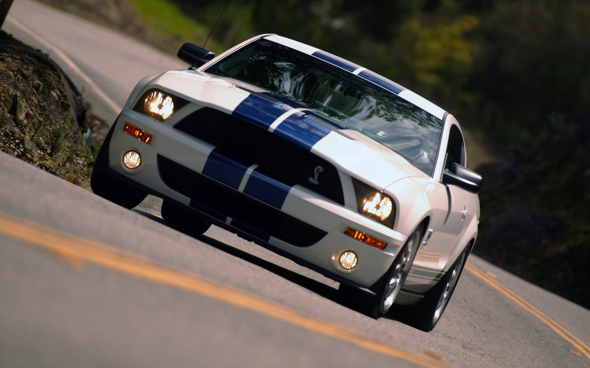 Ford Mustang Shelby GT500 HD Wallpaper
