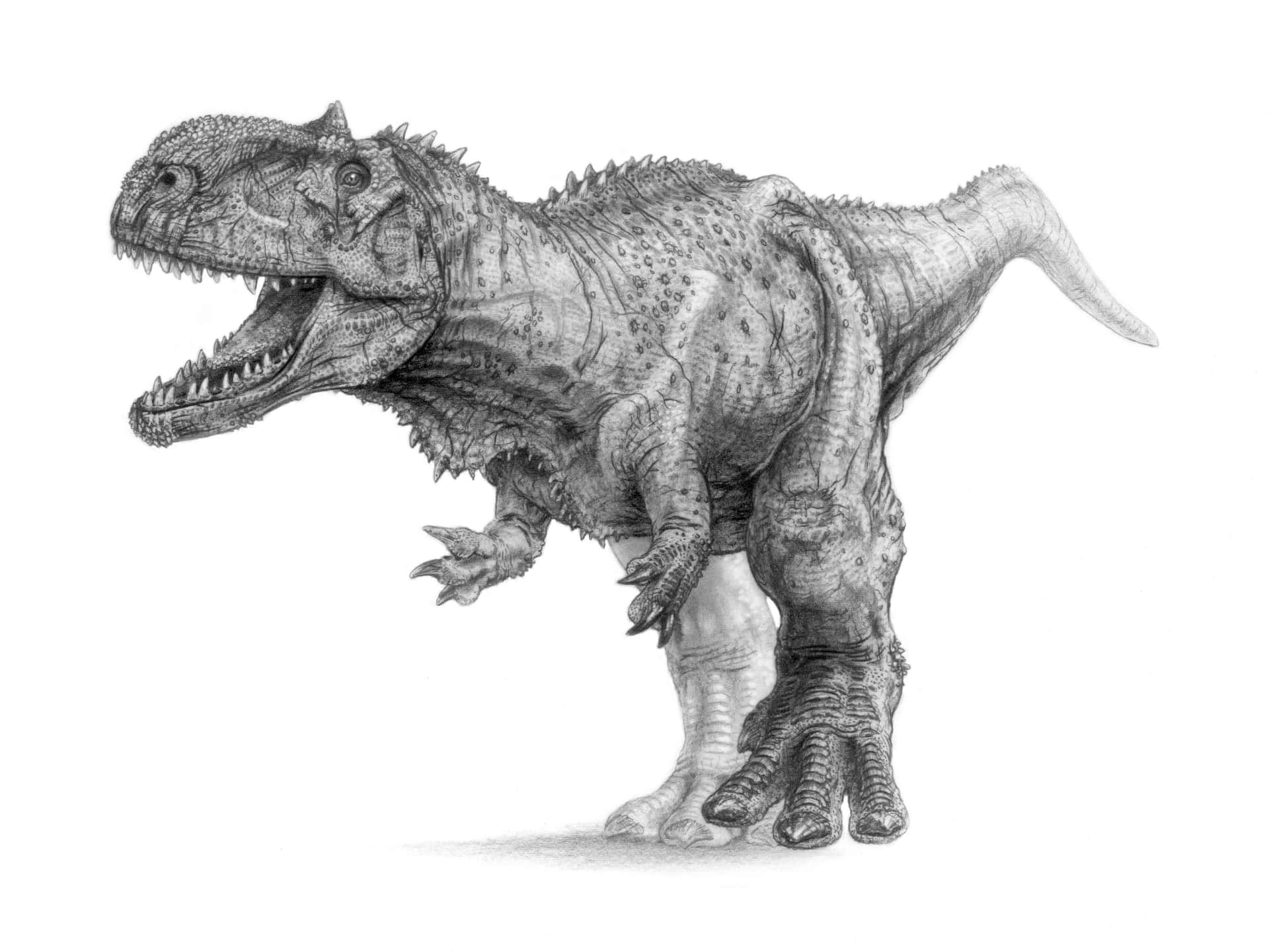 Download A Drawing Of A T Dinosaur Wallpaper