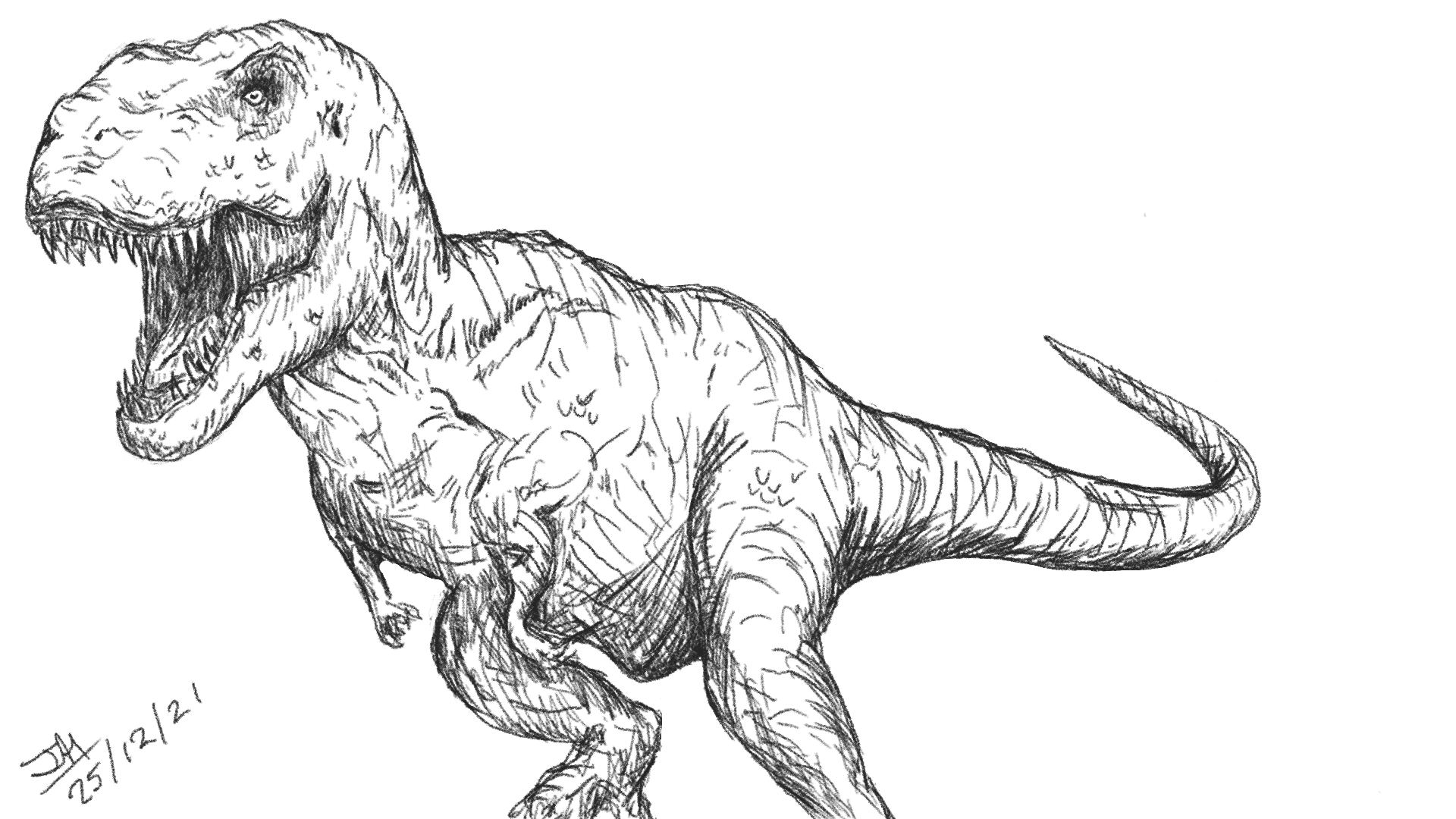 Quick rough sketch of a rex on my tablet this afternoon after Xmas Dinner!