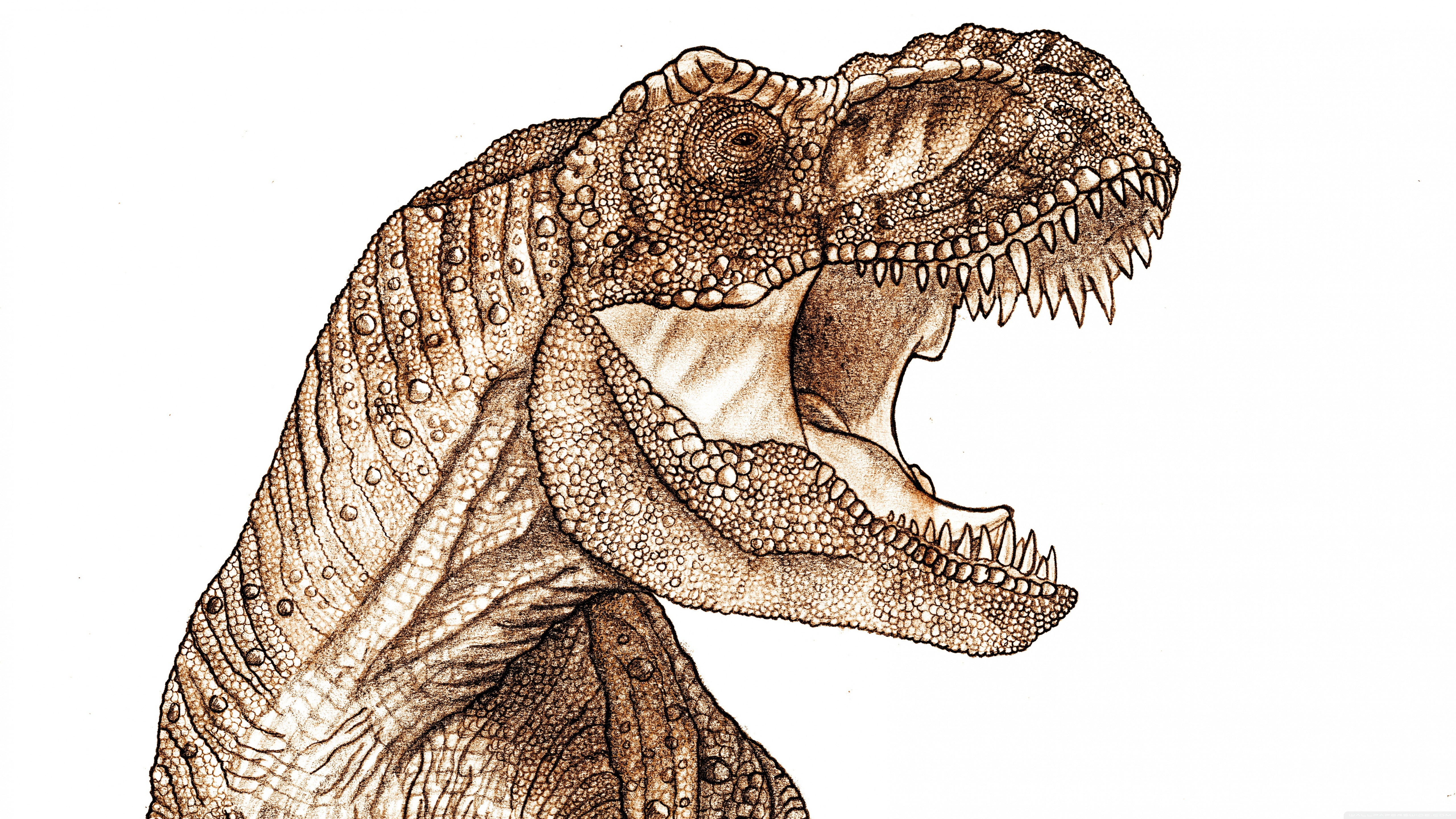 T.Rex 4K UHD Wallpaper for UltraHD Desktop and TV, Widescreen and UltraWide Display, Smartphone and Tablet Devices