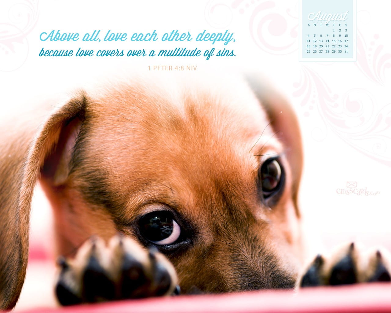 August 2013 Peter 4:8 NIV Desktop Calendar- Free August Wallpaper