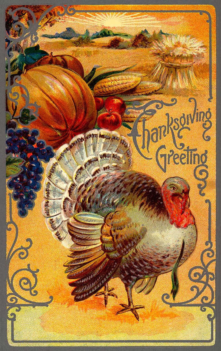 Wallpaper ideas to save today. vintage christmas cards, thanksgiving picture, thanksgiving greetings and more