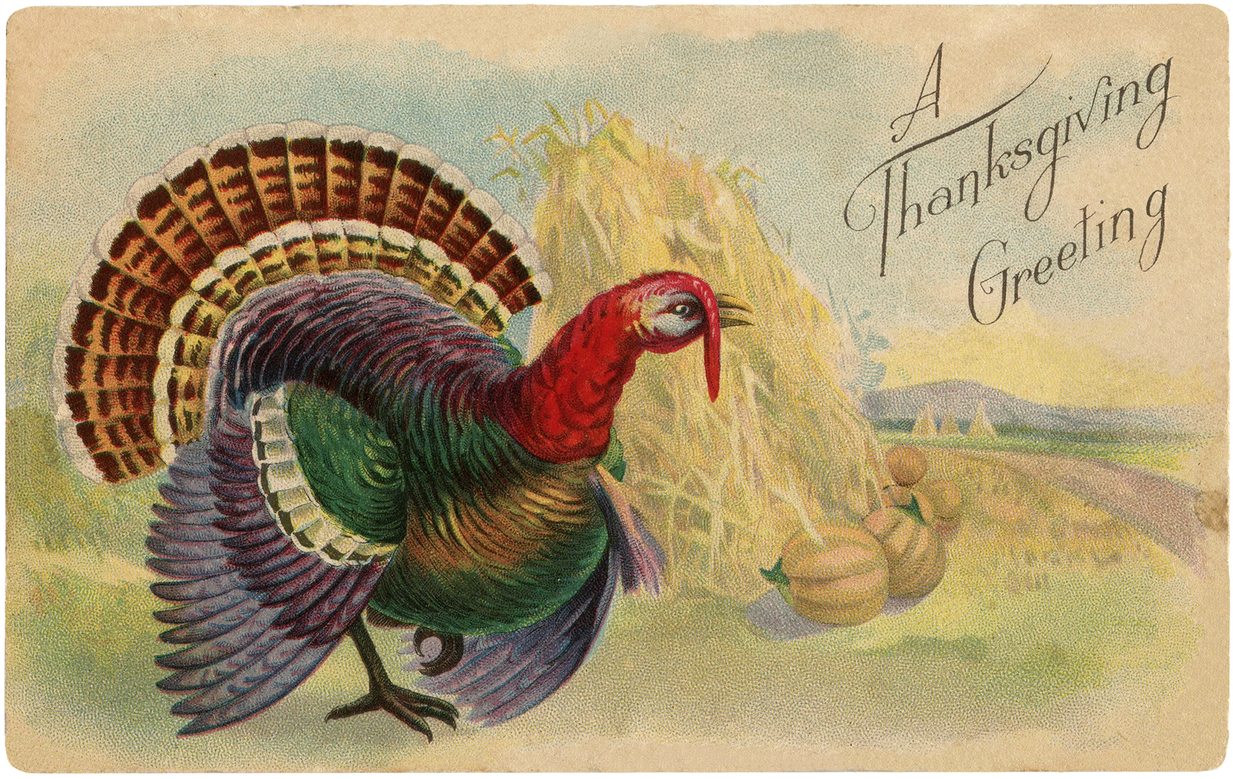 Thanksgiving Postcards with a Turkey! Graphics Fairy