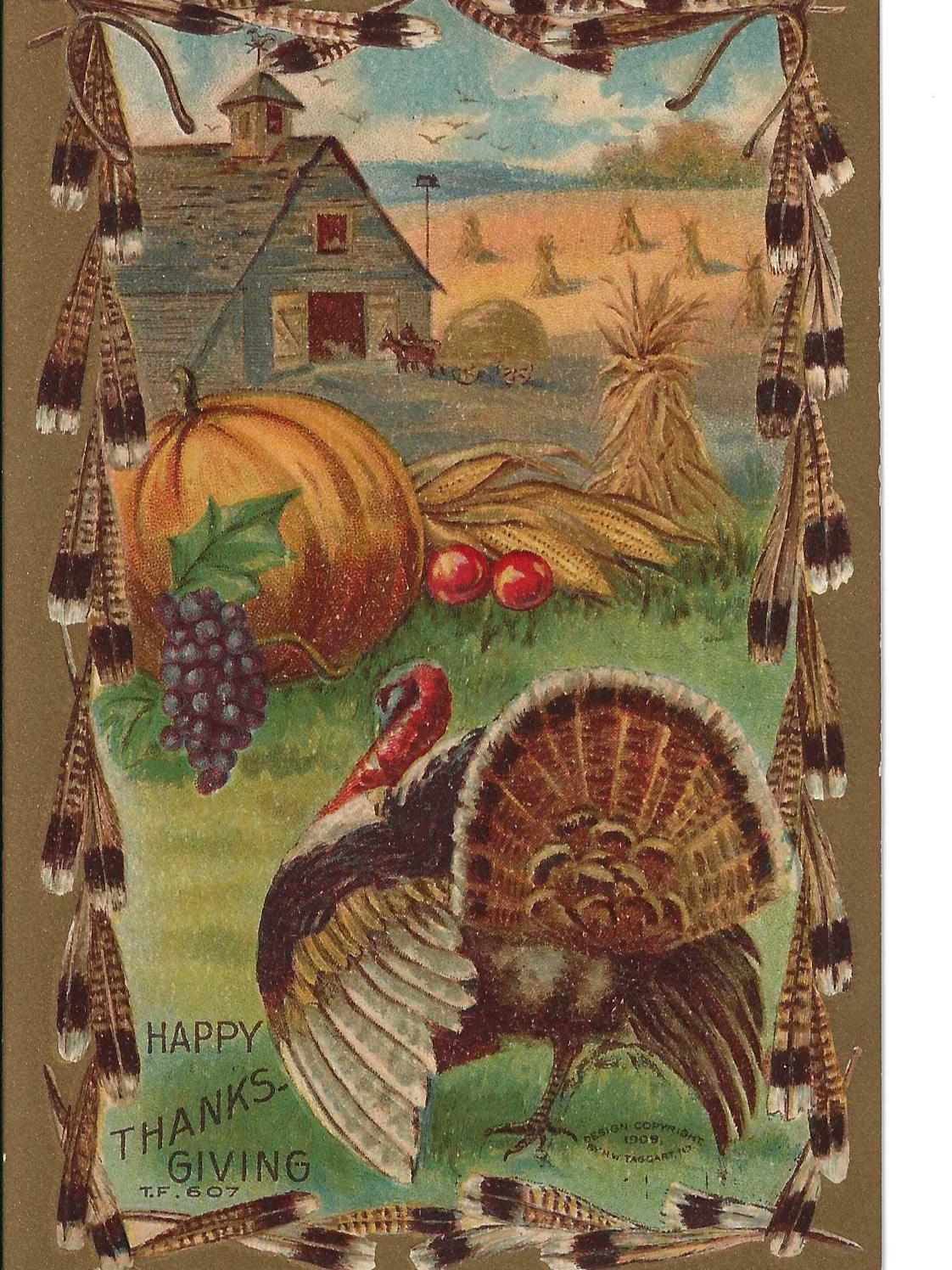 Turkey Vintage Postcard