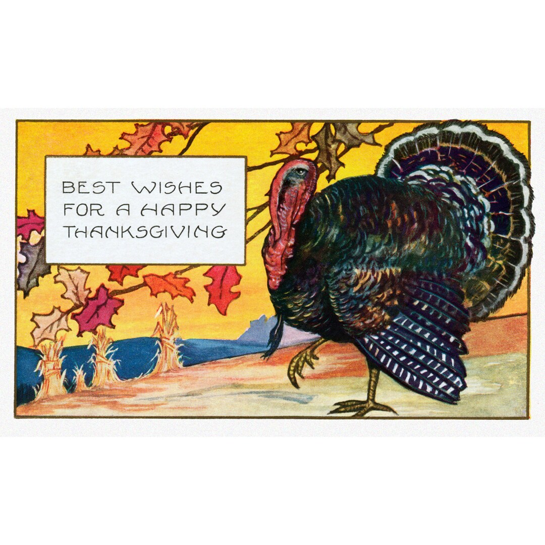 Thanksgiving Card Tom Turkey Struts Greeting Card With Sticker Option