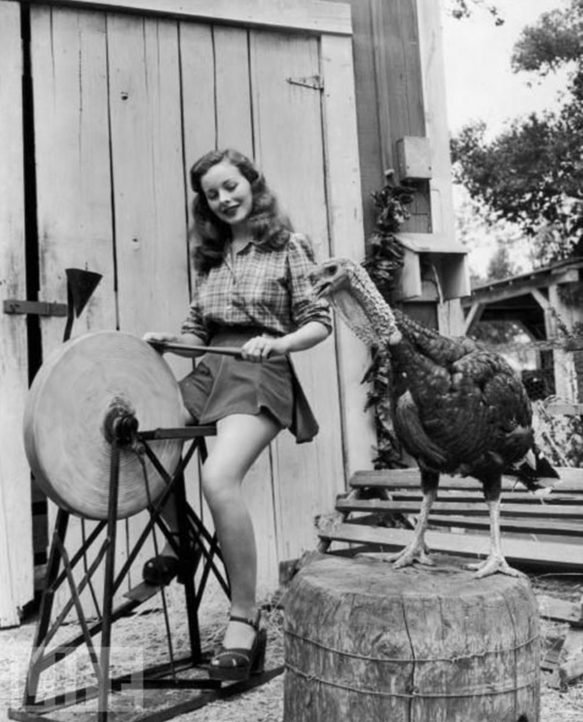Vintage Thanksgiving Day Pics to Creep You Out