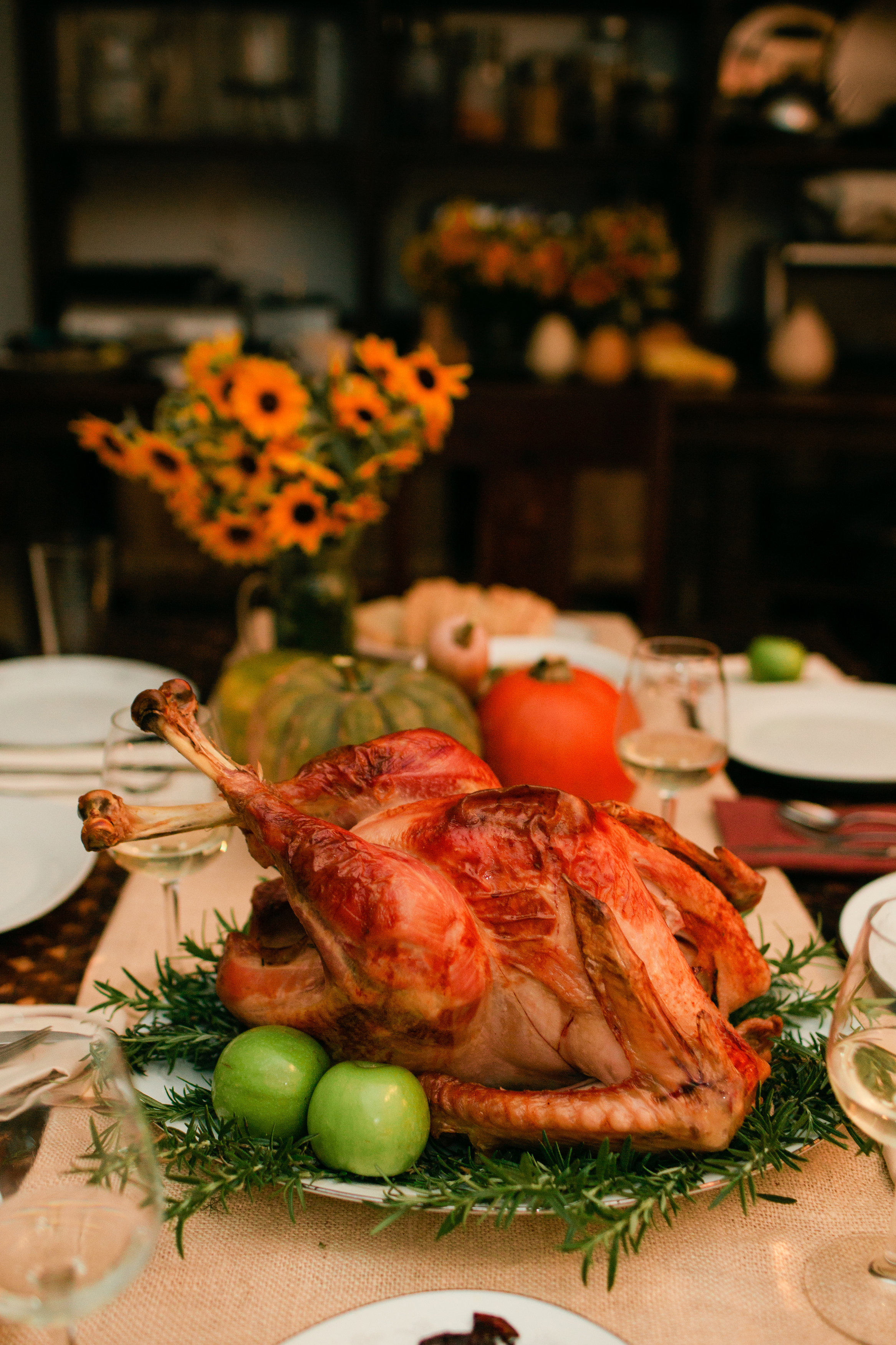 Happy Thanksgiving Turkey! String Farm Four String Farm