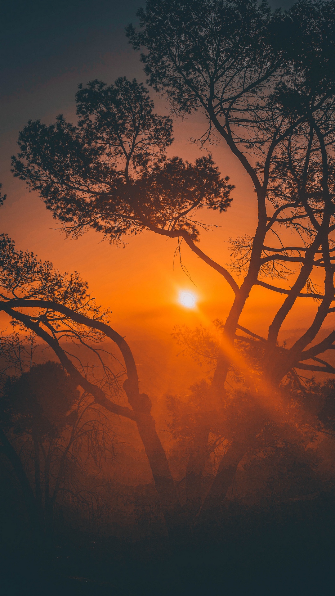 Honor X9c Smart Wallpaper