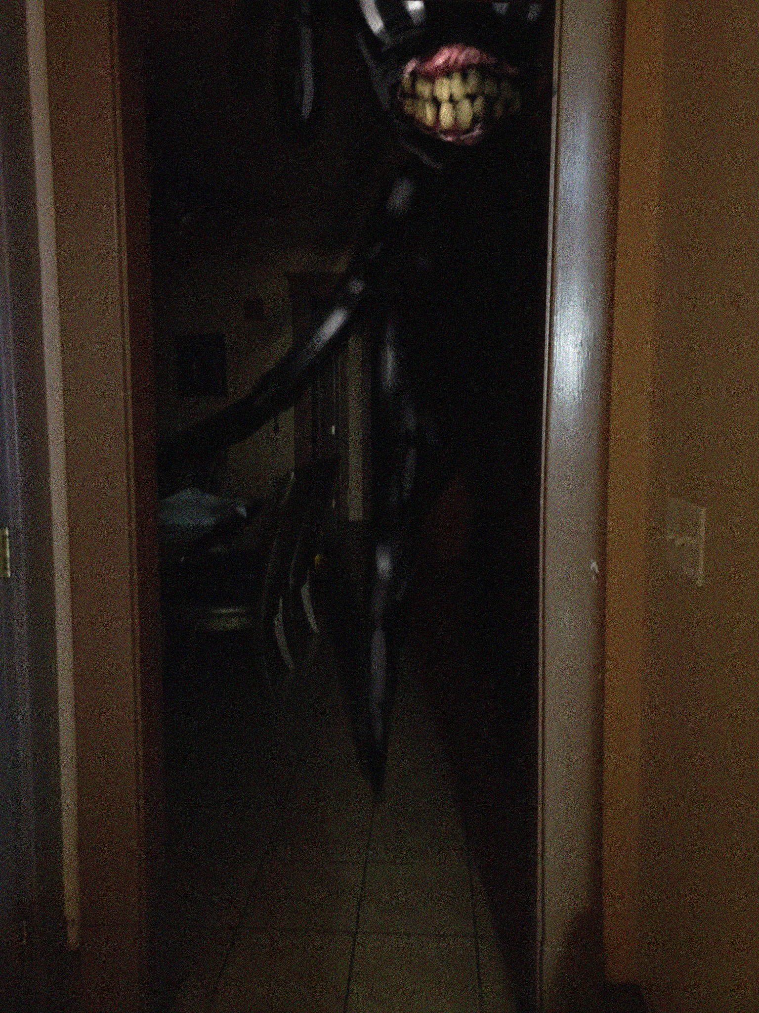 Cartoon Dog. Barli and SCP Foundation 2020