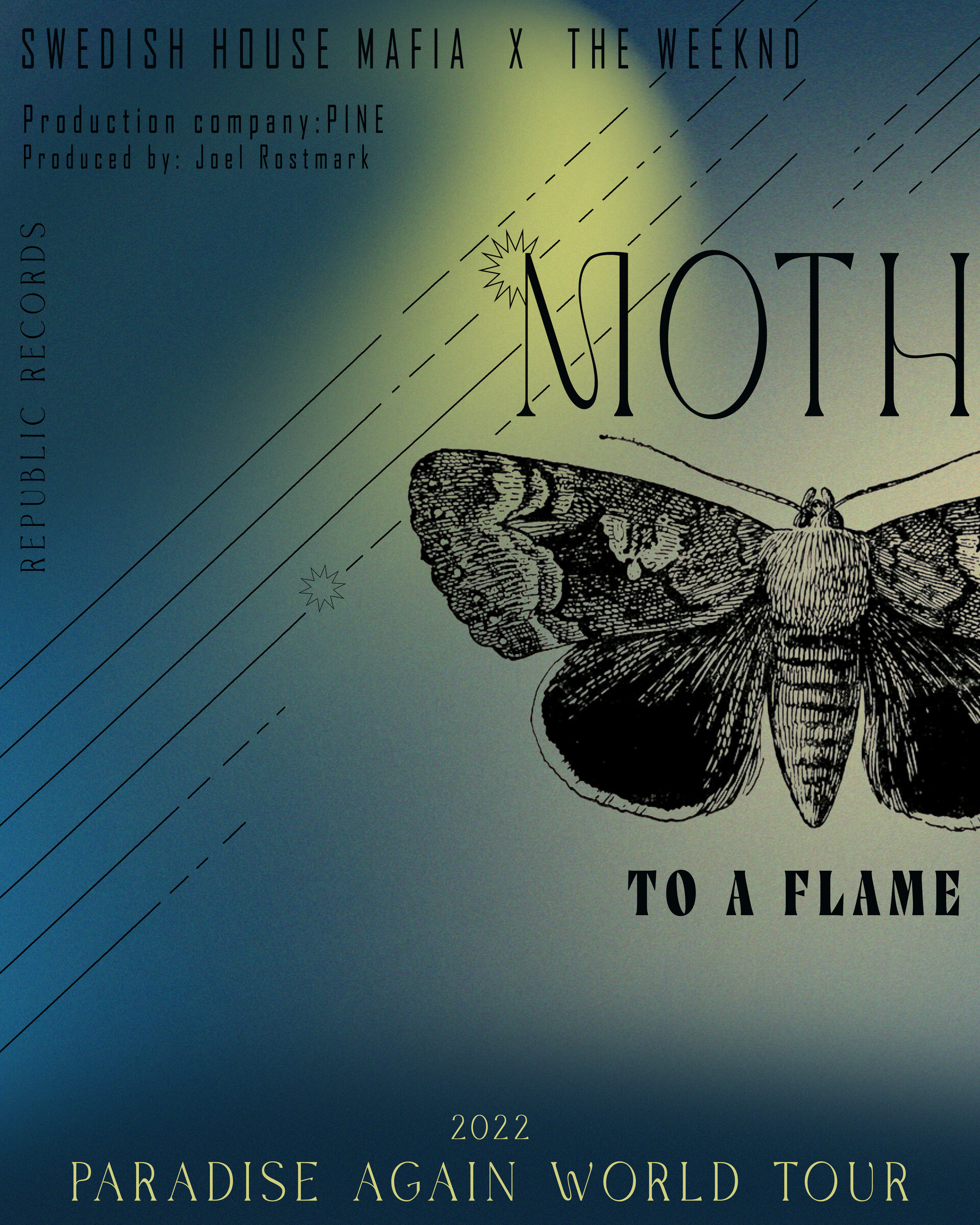 moth to a flame music poster