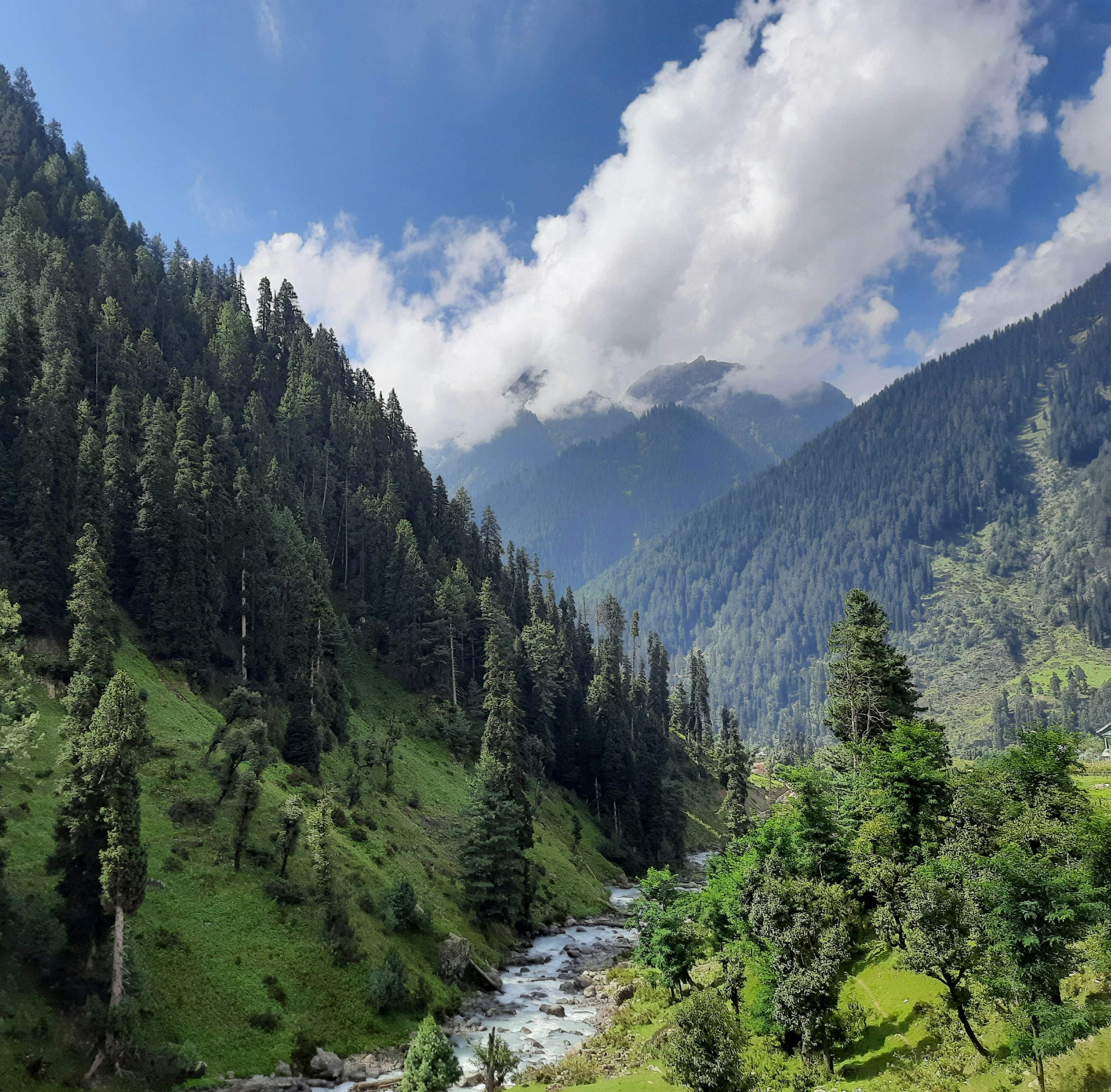 Kashmir Valley Picture. Download Free Image