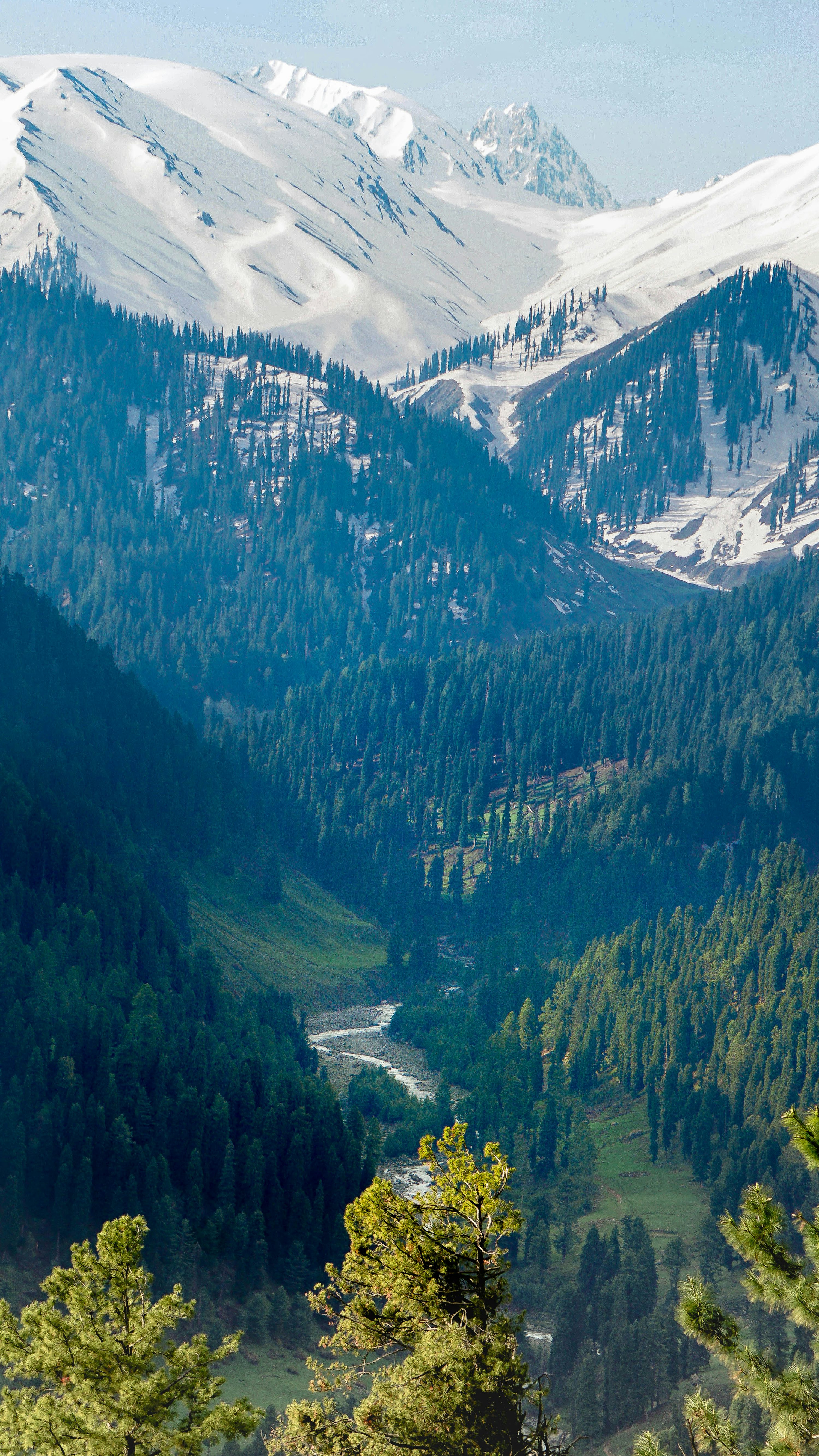 Kashmir Valley Picture. Download Free Image