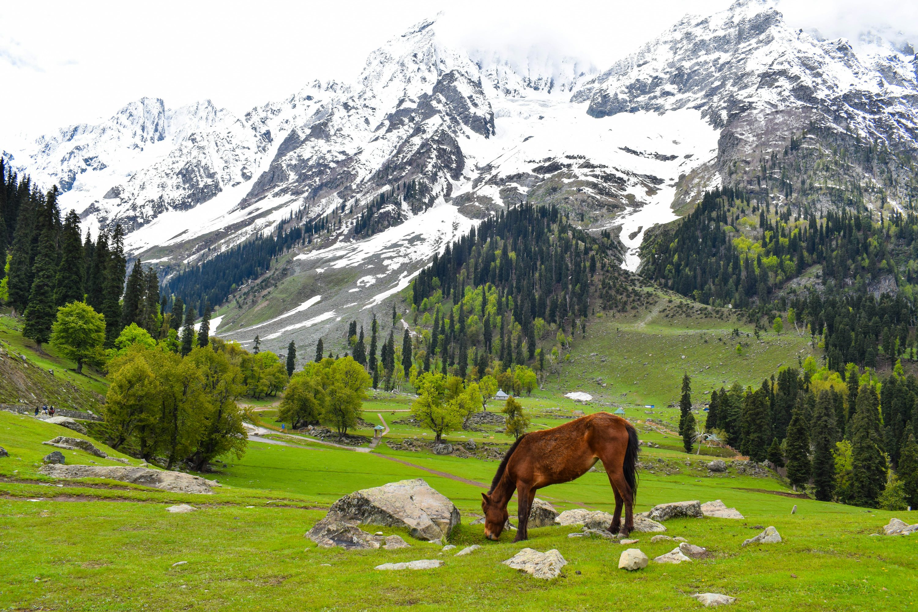 Best Kashmir Picture [HD]. Download Free Image