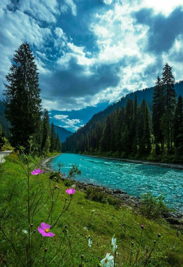 Gurez Valley, Kashmir #India