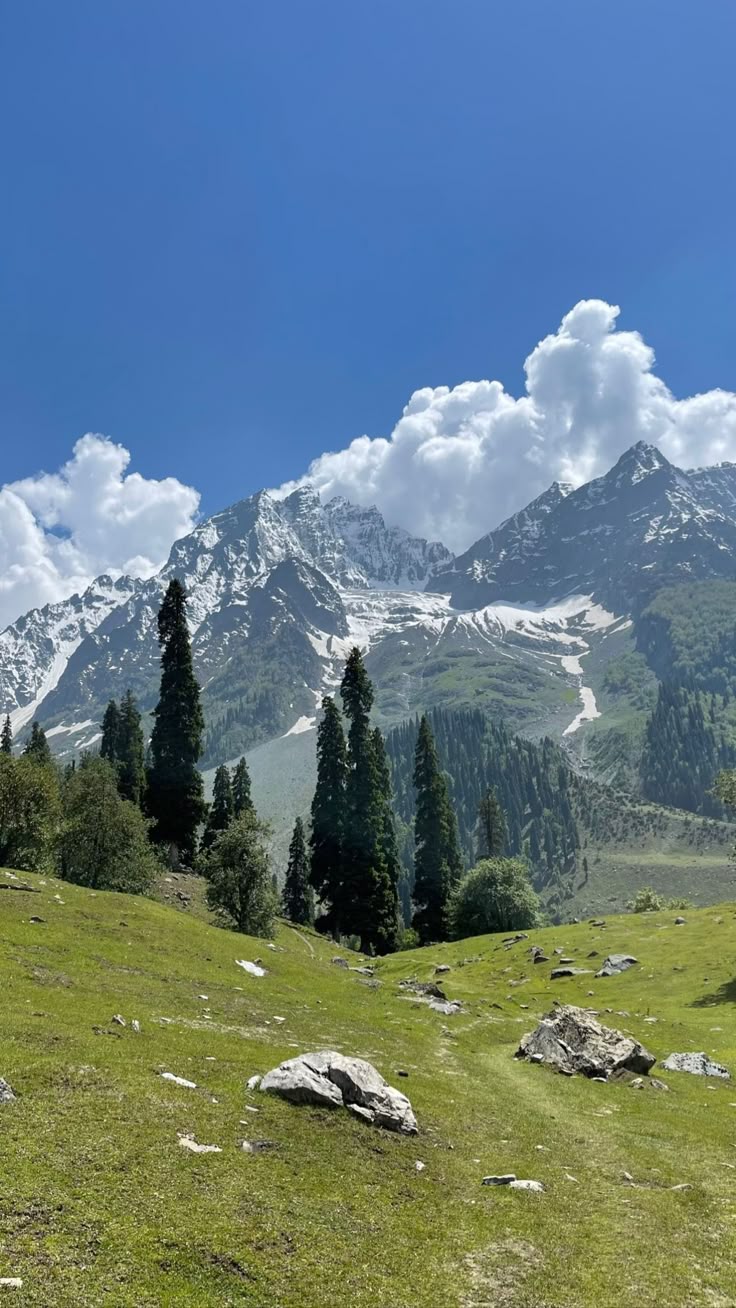 Kashmir