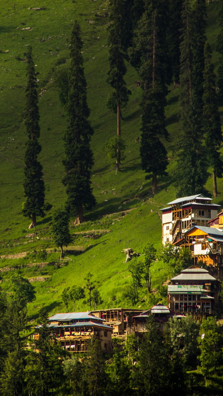 These valleys in Kashmir seem like pieces of art!