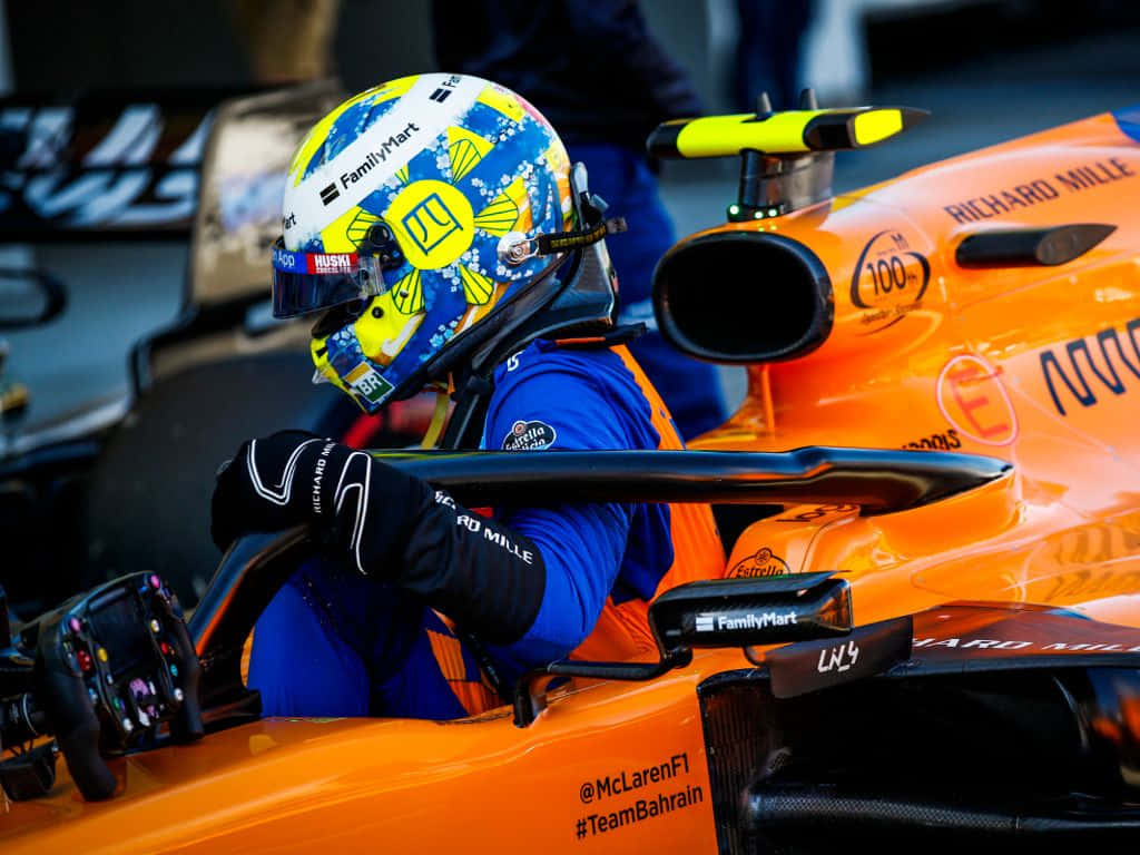 Download Lando Norris on the track posing for the cameras