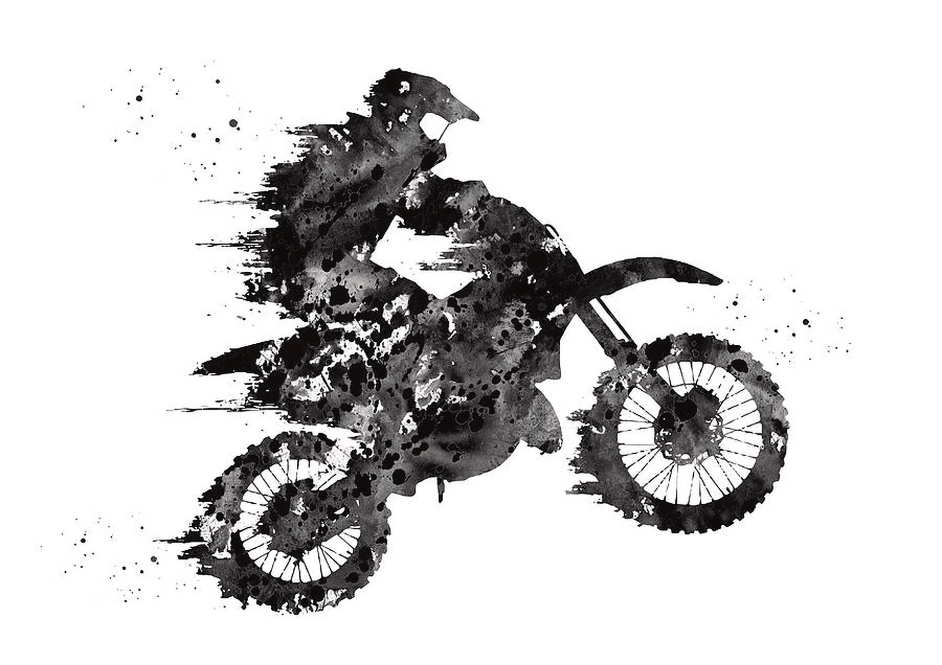 Dirt Bike Picture