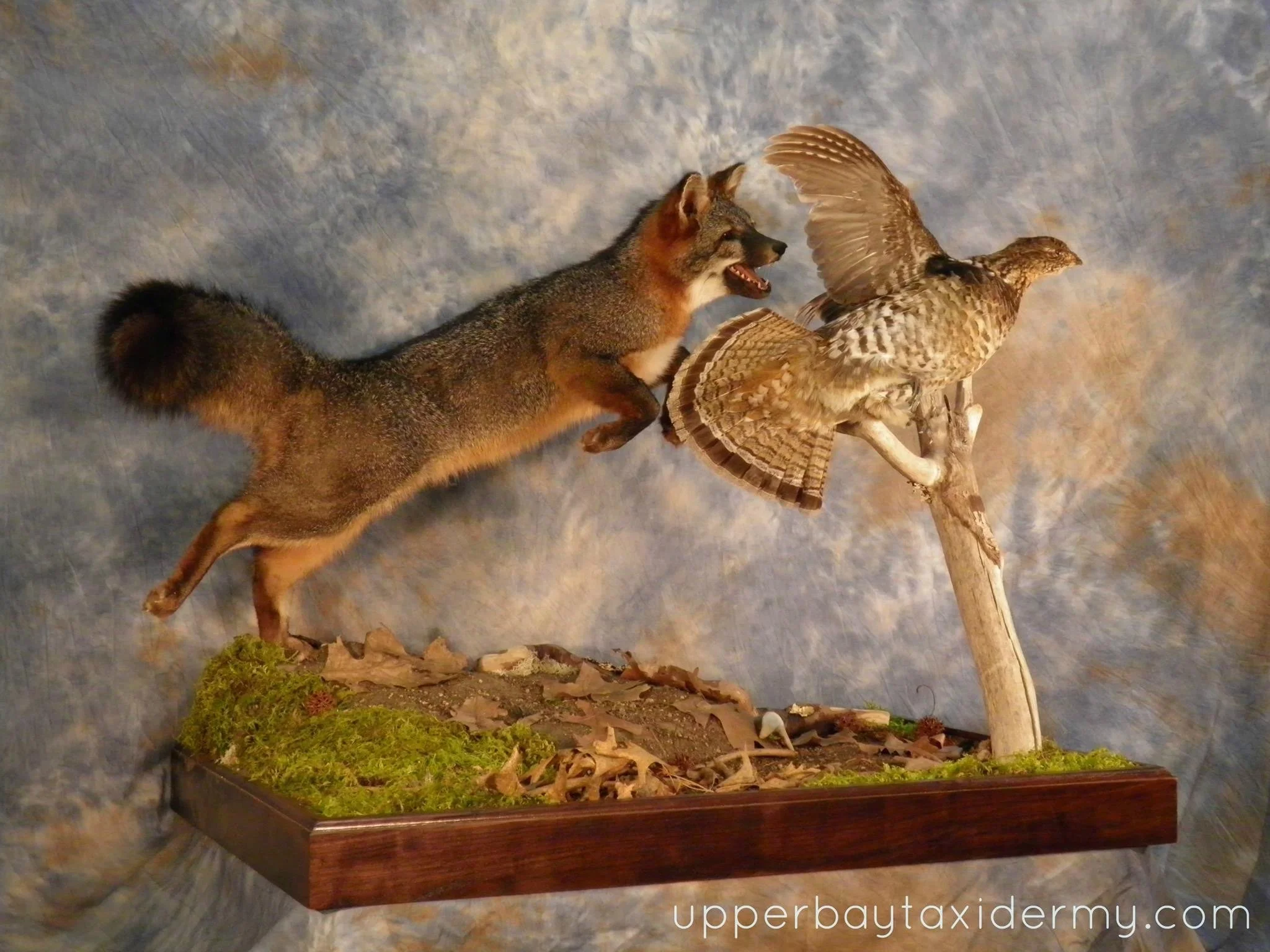 Upper Bay Taxidermy