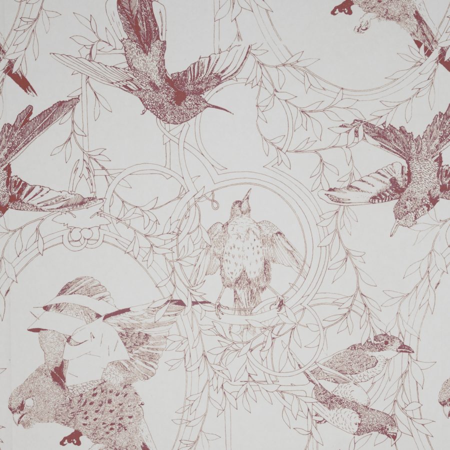 Taxidermy Birds Wallpaper